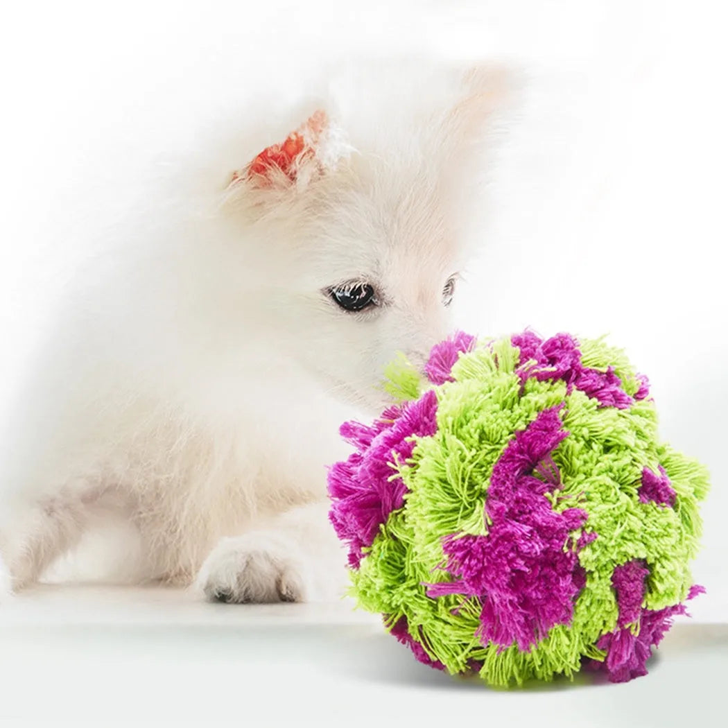 Purple plush dog ball toy with seaweed knot texture for chewing and interactive play