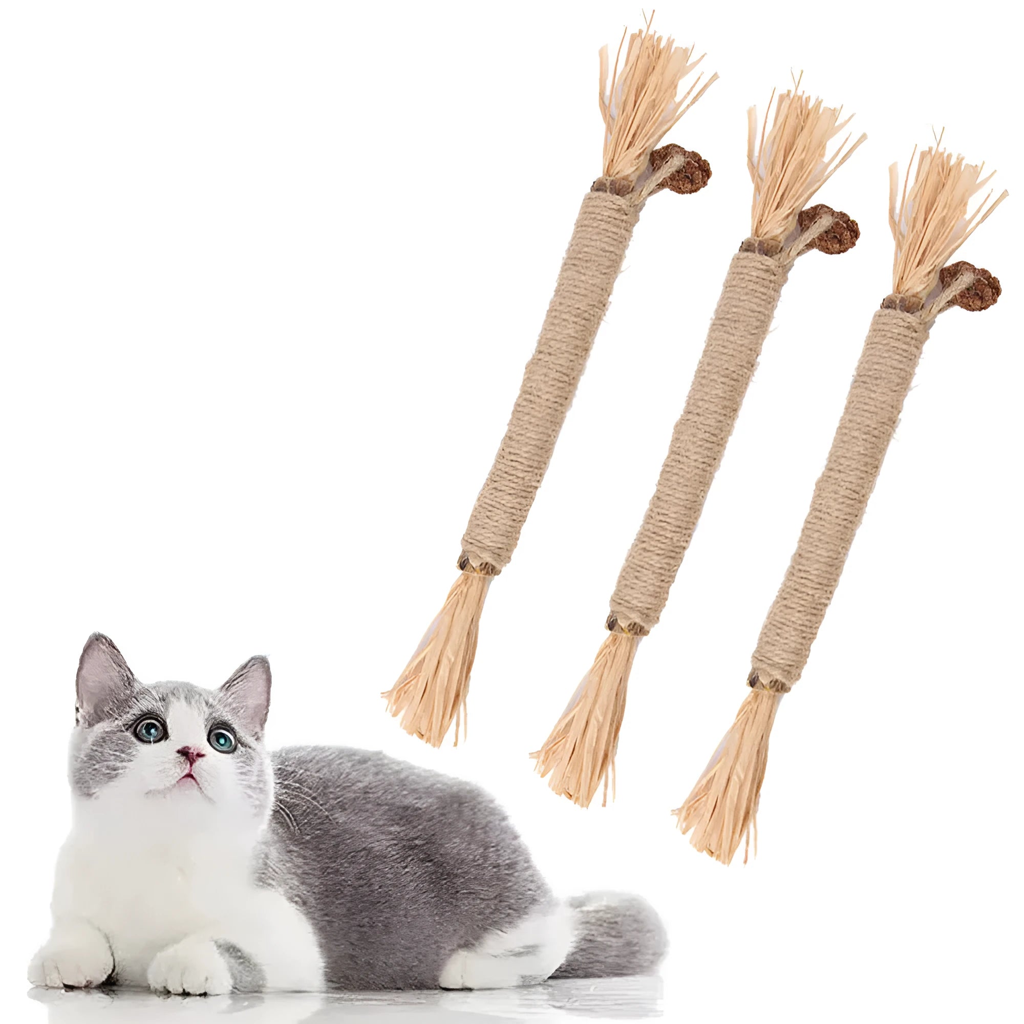 3 natural silvervine dental sticks for cats with sisal rope and raffia, thick and fine diameter options