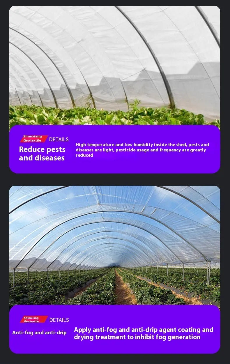Plastic cold film insulation sheet for vegetable shed protection, 4x8 metre size
