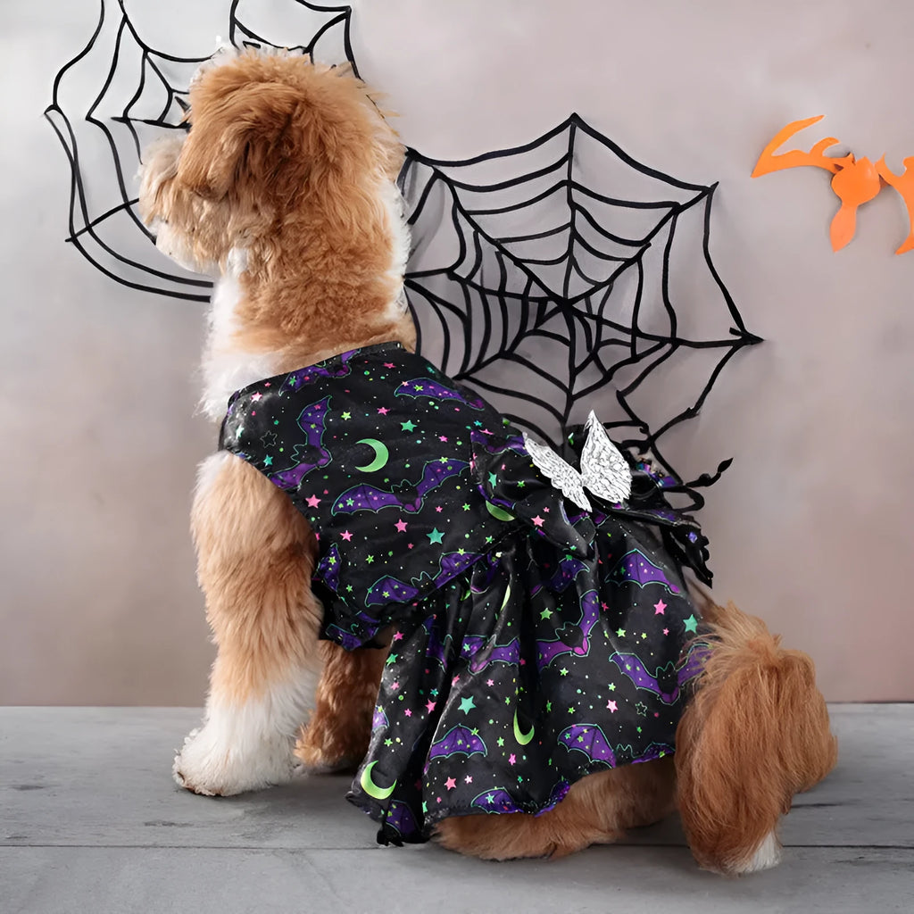 Angel wings Halloween costume for dogs in bright pumpkin or bat designs