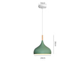 Modern single head fishline pendant lamp chandelier with adjustable height in black, blue, green, grey, pink or yellow