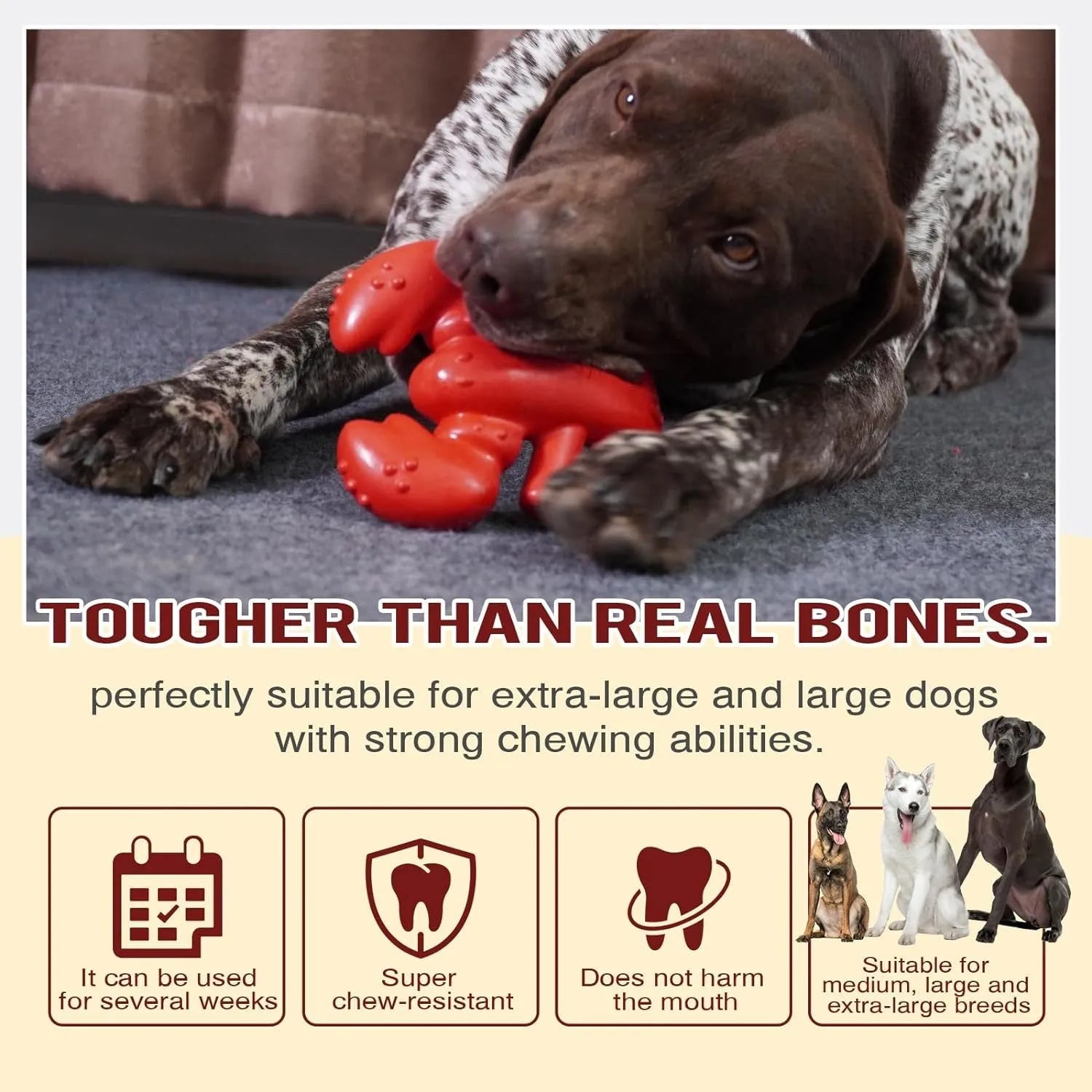 Red nylon dog chew toy for large dogs with bone design for aggressive chewers