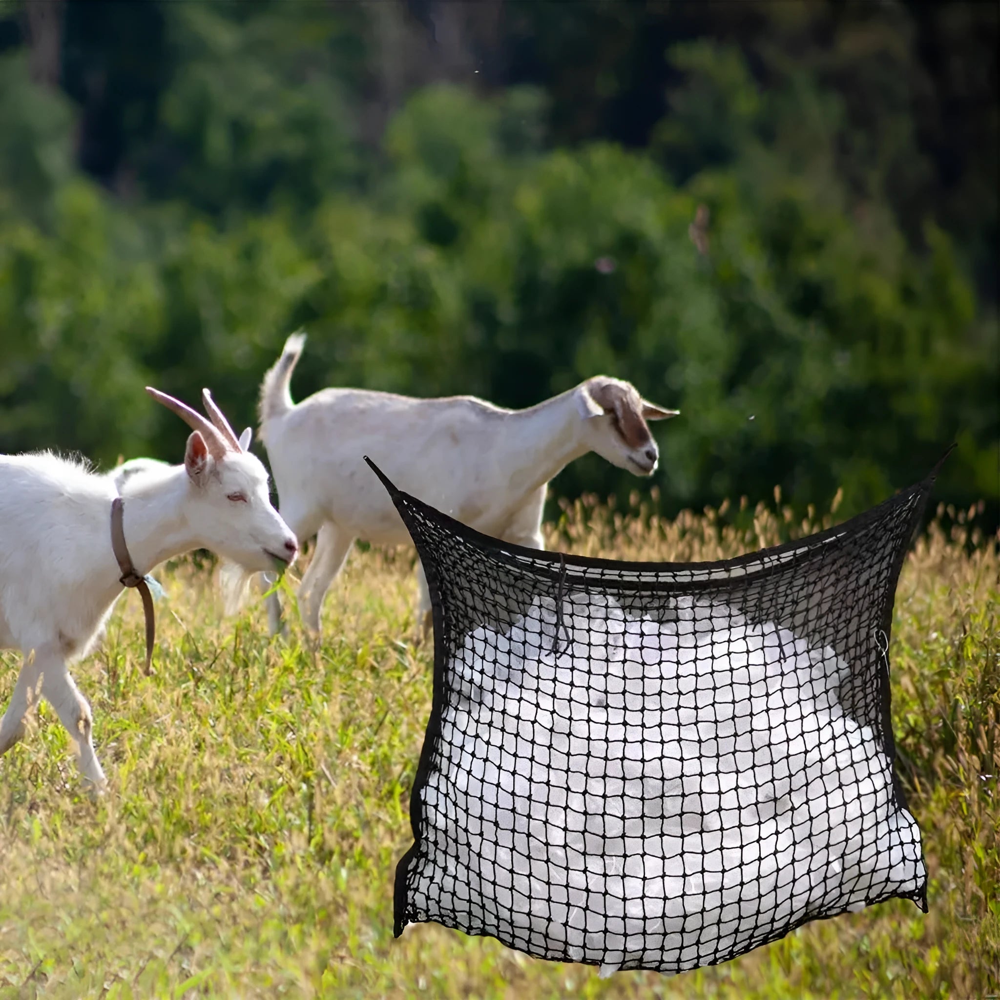 Black woven PE rope grid feeding bag hung on a fence, suitable for horses and cattle.