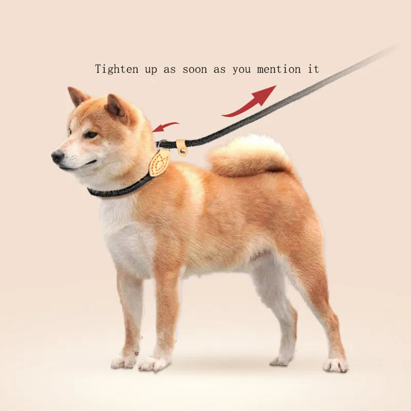 Blast race training dog leash with automatic tightening rope collar in multiple colours