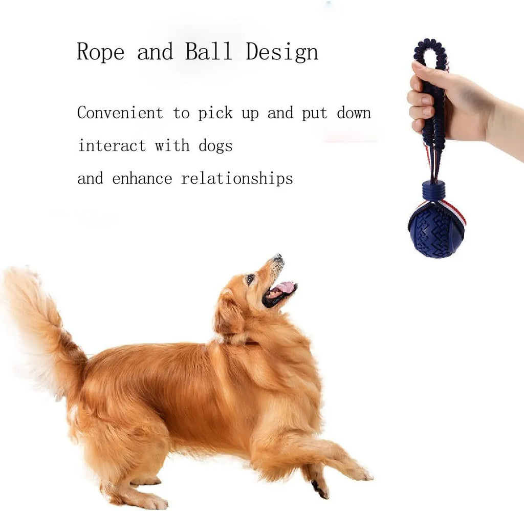 Blue rubber dog ball with attached rope for tug-of-war games