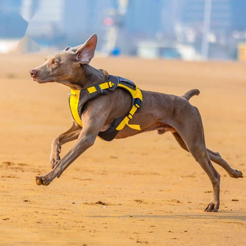Orange blue and yellow brown nylon dog vest harness for chest strap control