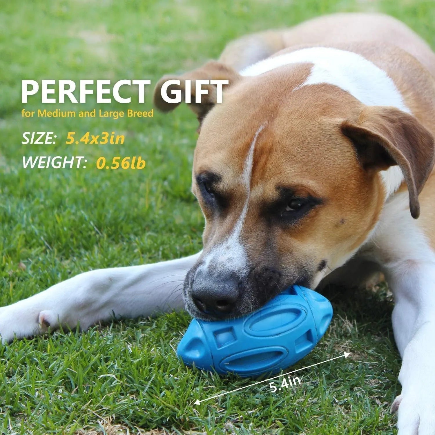 Natural rubber squeaky dog chew ball with textured surface grooves in blue, green, or orange colours