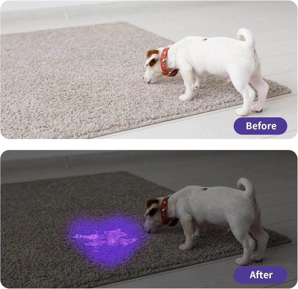 Black or silver aluminium alloy handheld UV flashlight torch with purple light wavelength for detection.