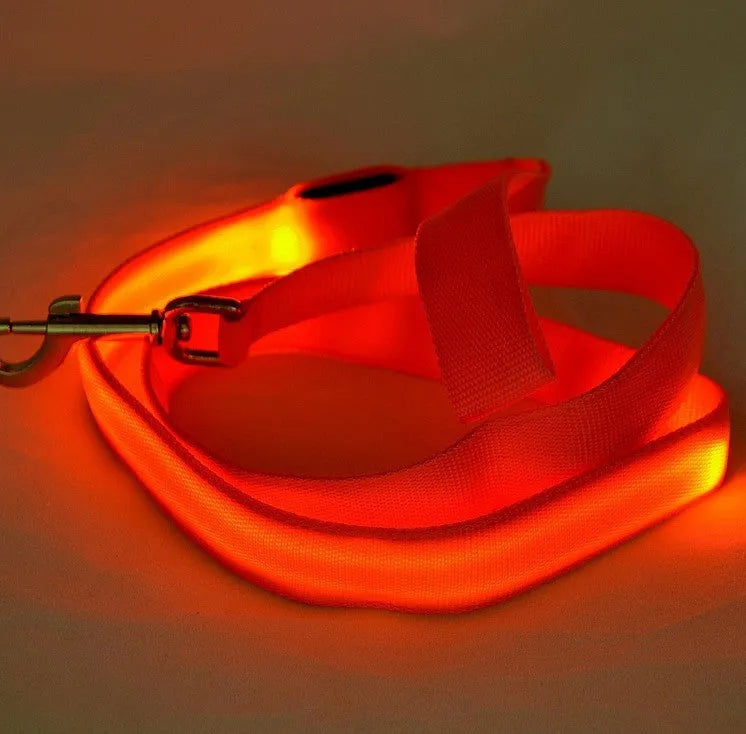 LED luminous nylon dog leash 120cm length 2.5cm width blue colour