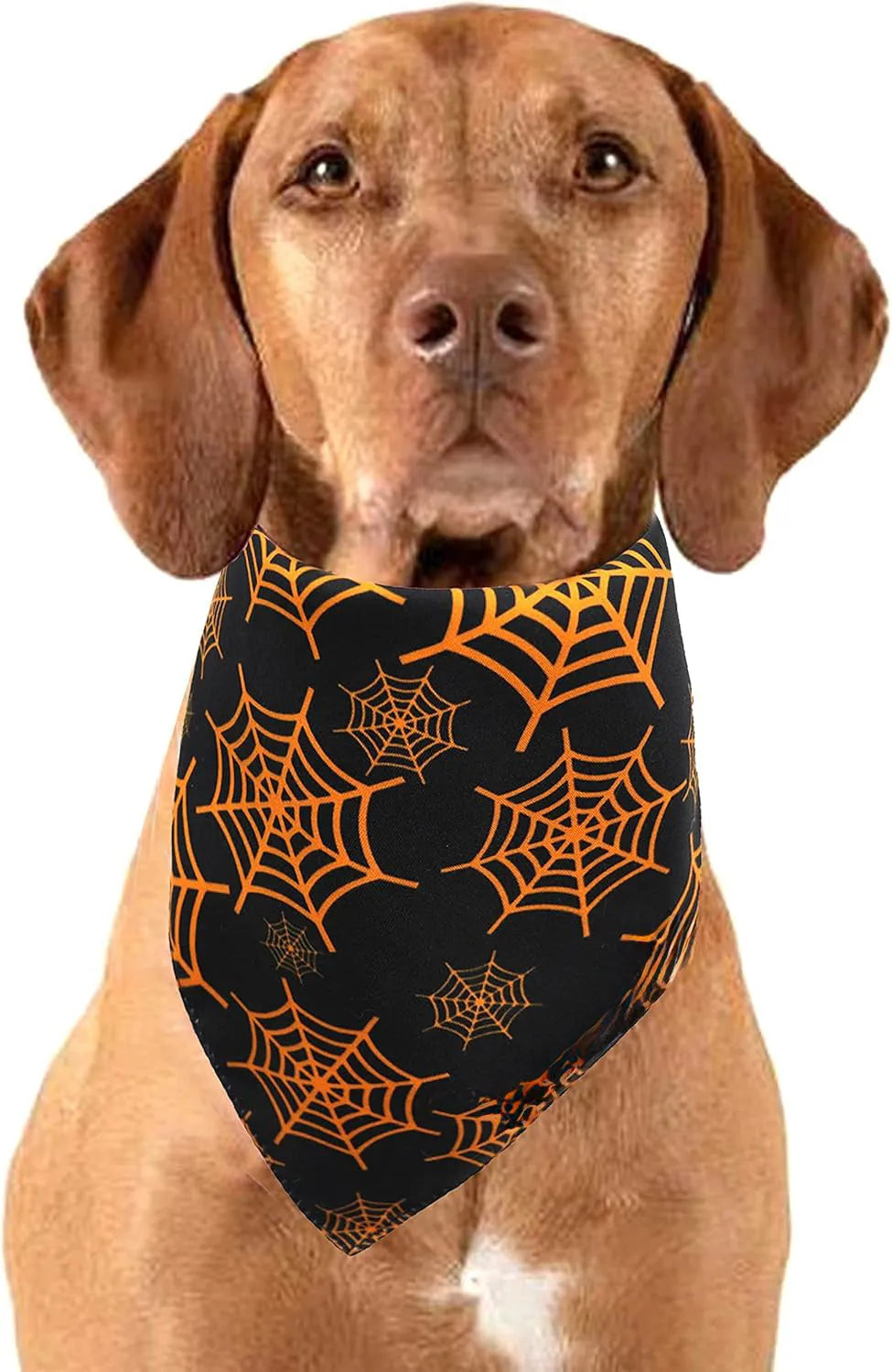 Black and orange reversible Halloween dog bandana with pumpkin and spider web patterns, adjustable for necks up to 16 inches