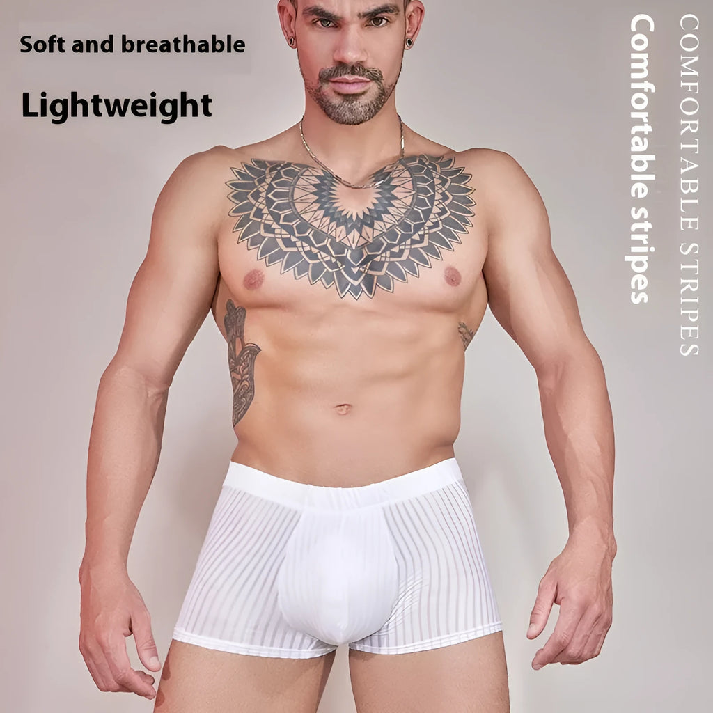 Men's thin transparent striped nylon underwear in black, white, and dark grey.