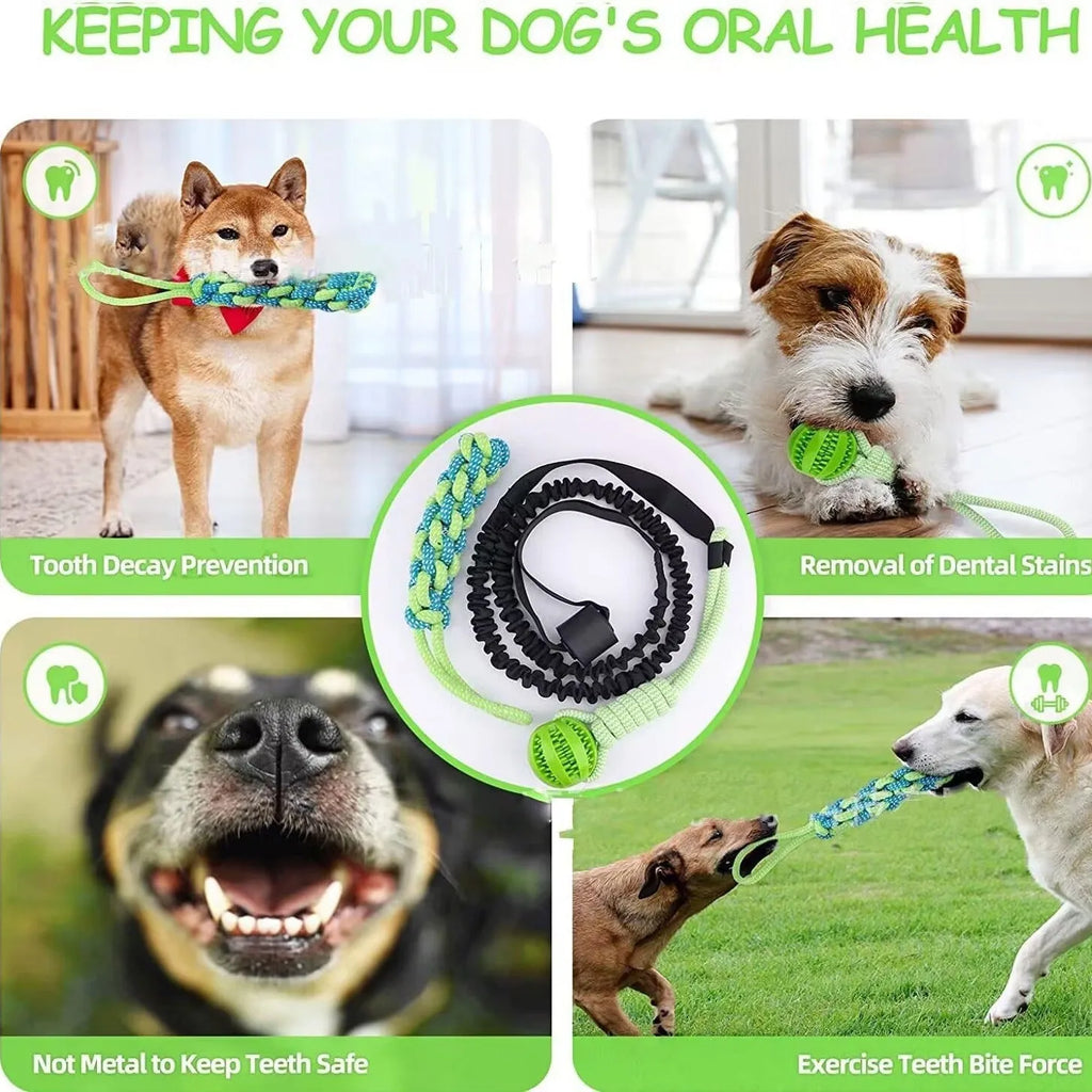 Green cotton dog tug rope toy with a textured teether ball attached for bite and pull play.