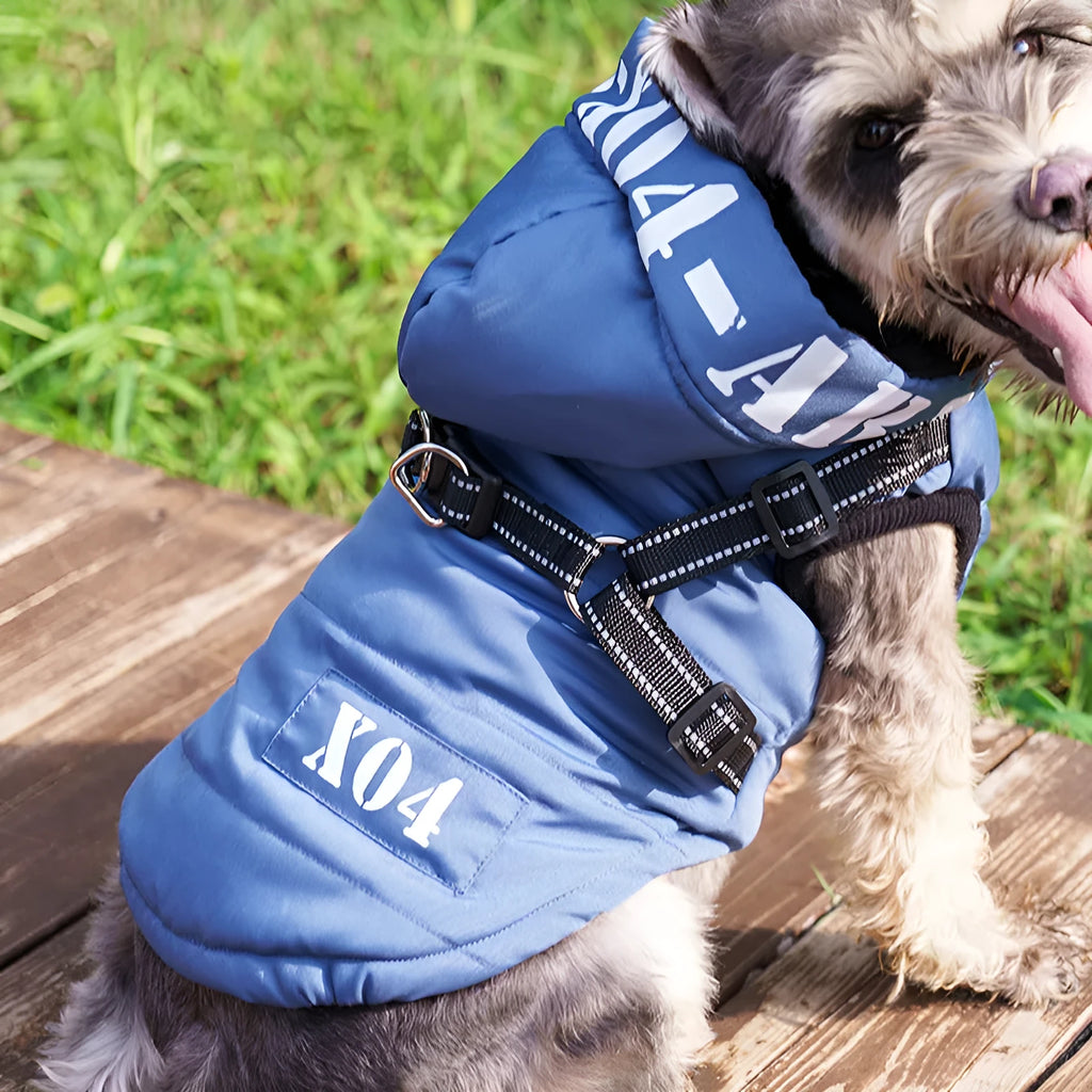 Red fleece-lined waterproof dog winter jacket with hood on a medium-sized dog