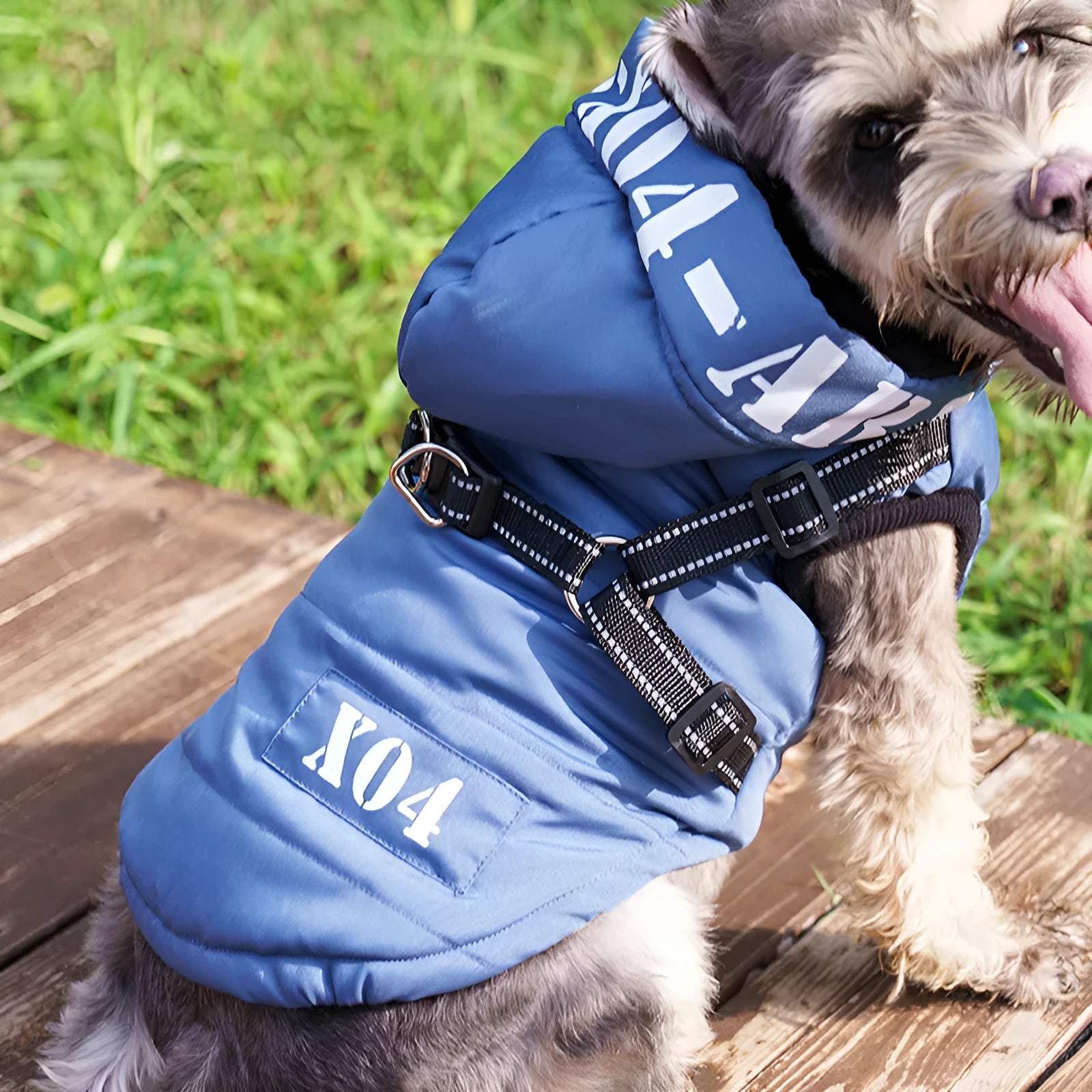 Red fleece-lined waterproof dog winter jacket with hood on a medium-sized dog