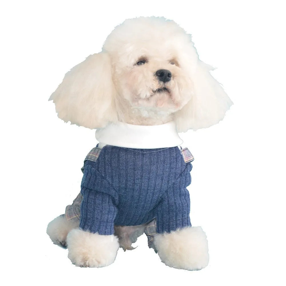 Cotton dog shirt with suit collar design in orange and dark blue colours