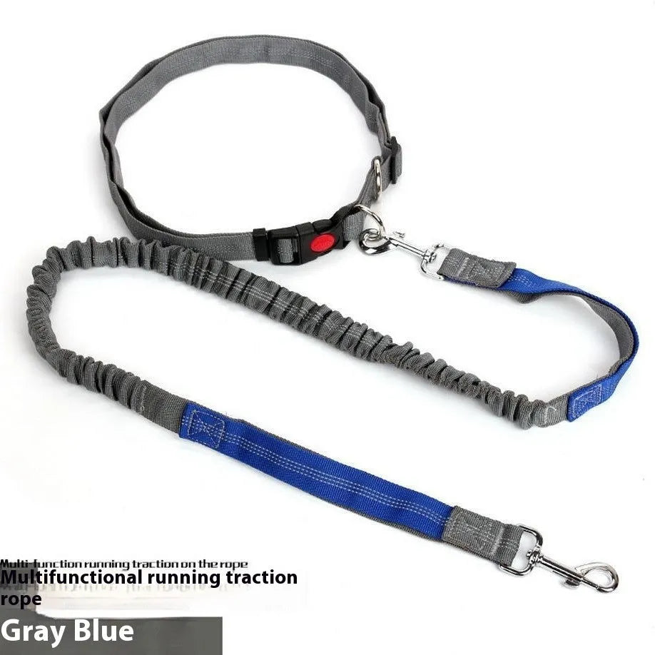 Grey and green reflective elastic dog leash with 2.5cm nylon width and clip attachment