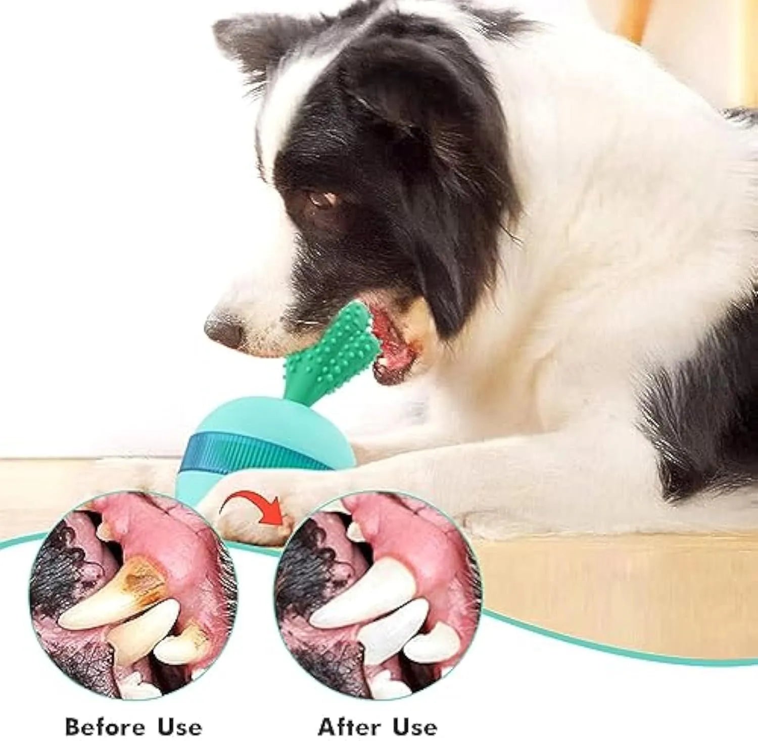Blue or green durable rubber dog treat dispensing puzzle ball toy for medium large breeds
