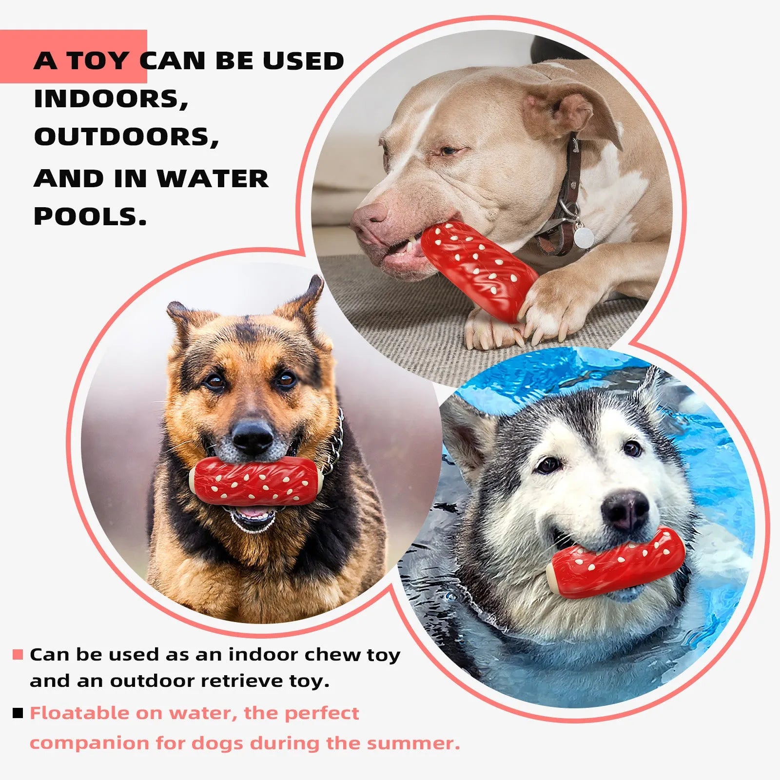 Primary colour plastic dog chew toy shaped like a toothbrush with a large molar rod.