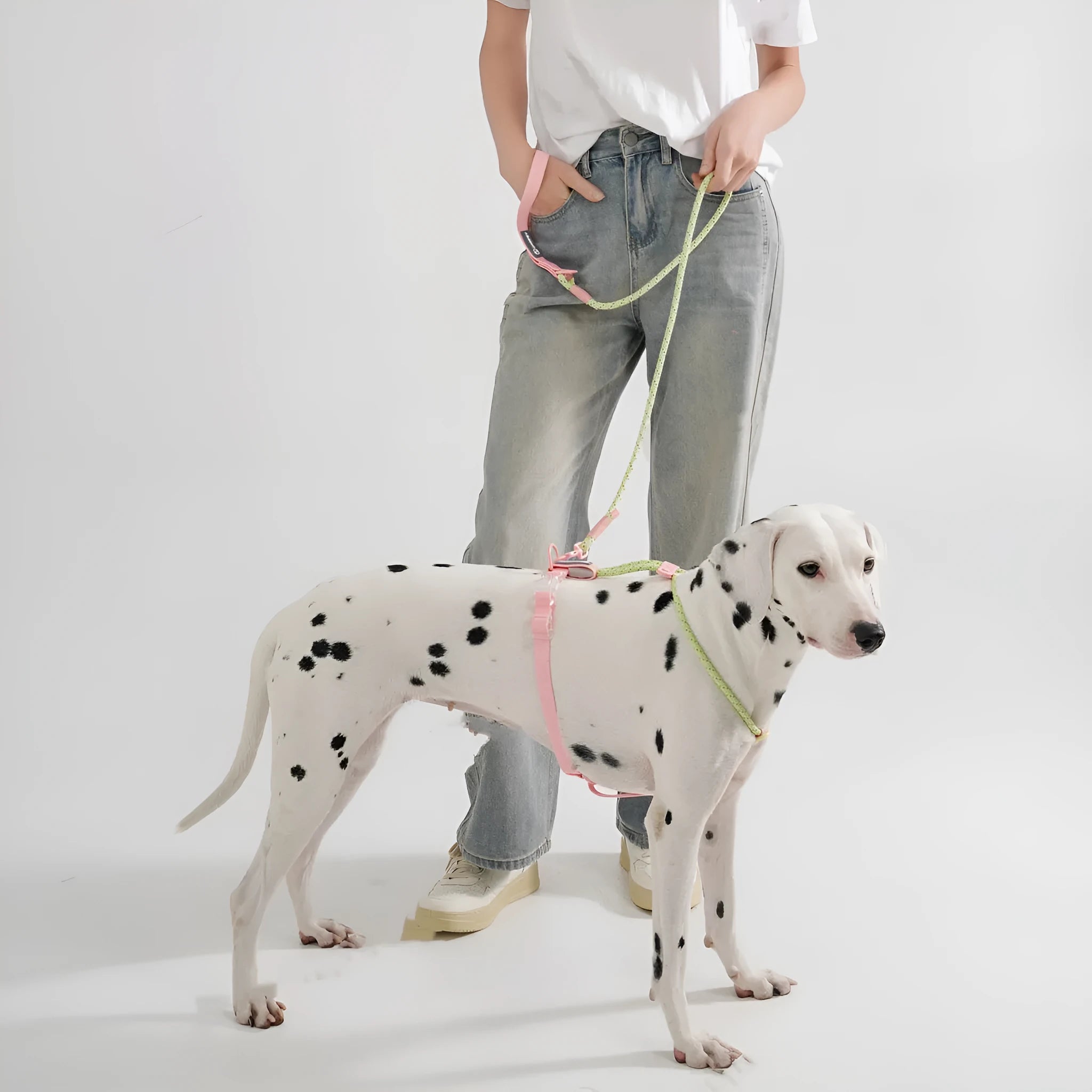 Solid colour PVC dog hand-holding rope leash in dark red purple yellow and taoyao green options.