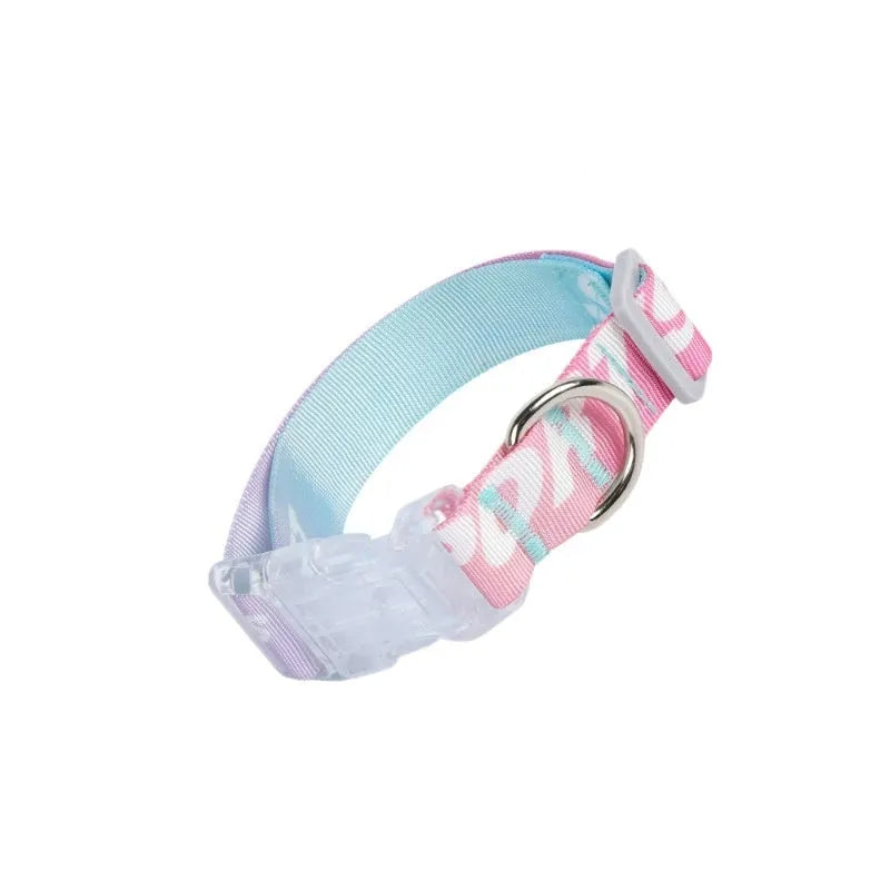 Adjustable nylon dog collar with cartoon gradient printing in S, M, and L sizes for small to medium dogs