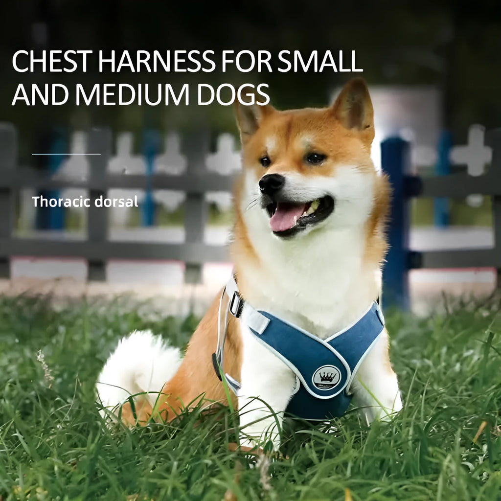 Adjustable dog cat harness vest in breathable mesh material with reflective strips and metal D-ring