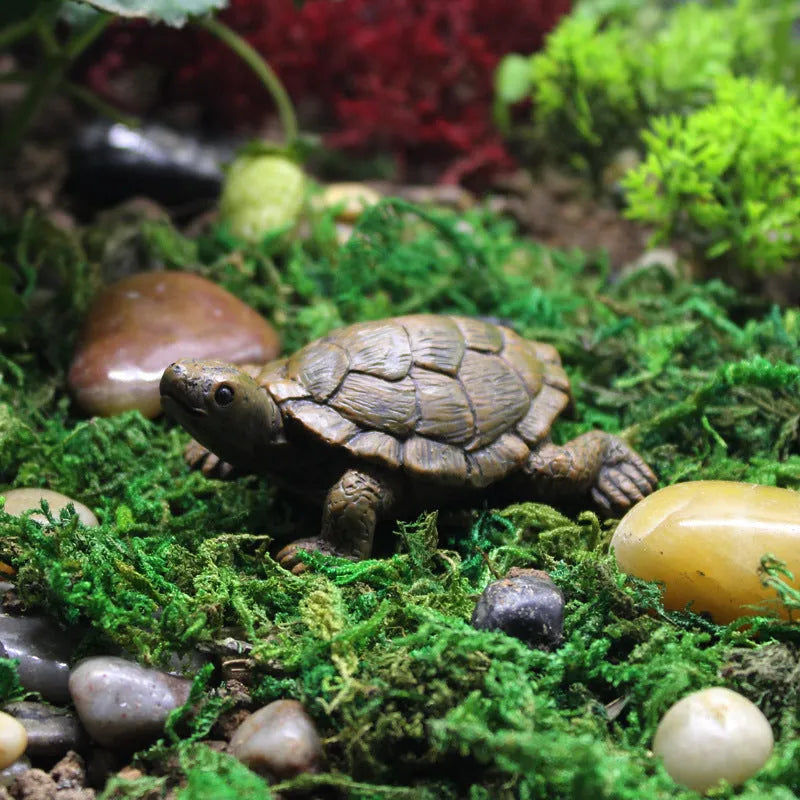 Realistic resin turtle garden ornament for micro landscape arrangements
