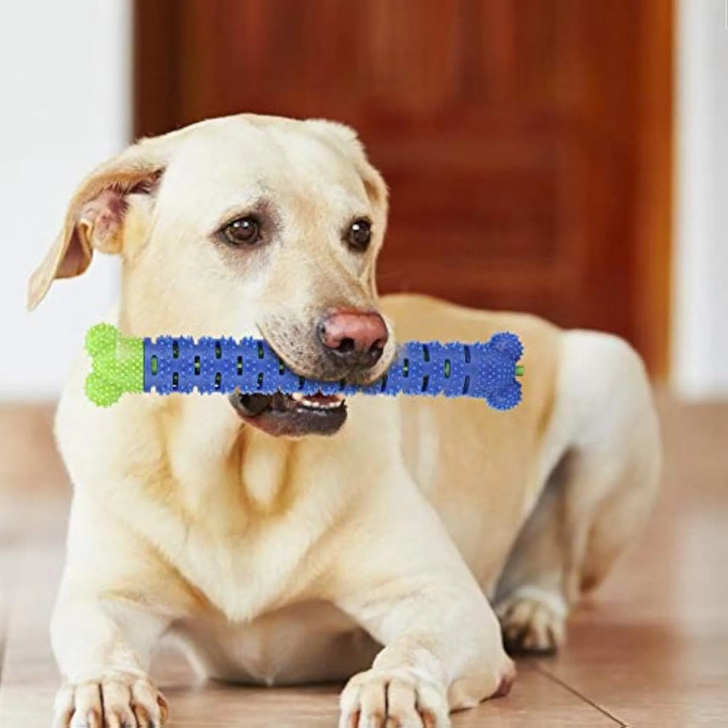 Blue-green silicone dog tooth cleaning stick with brush hair core measuring 25cm long
