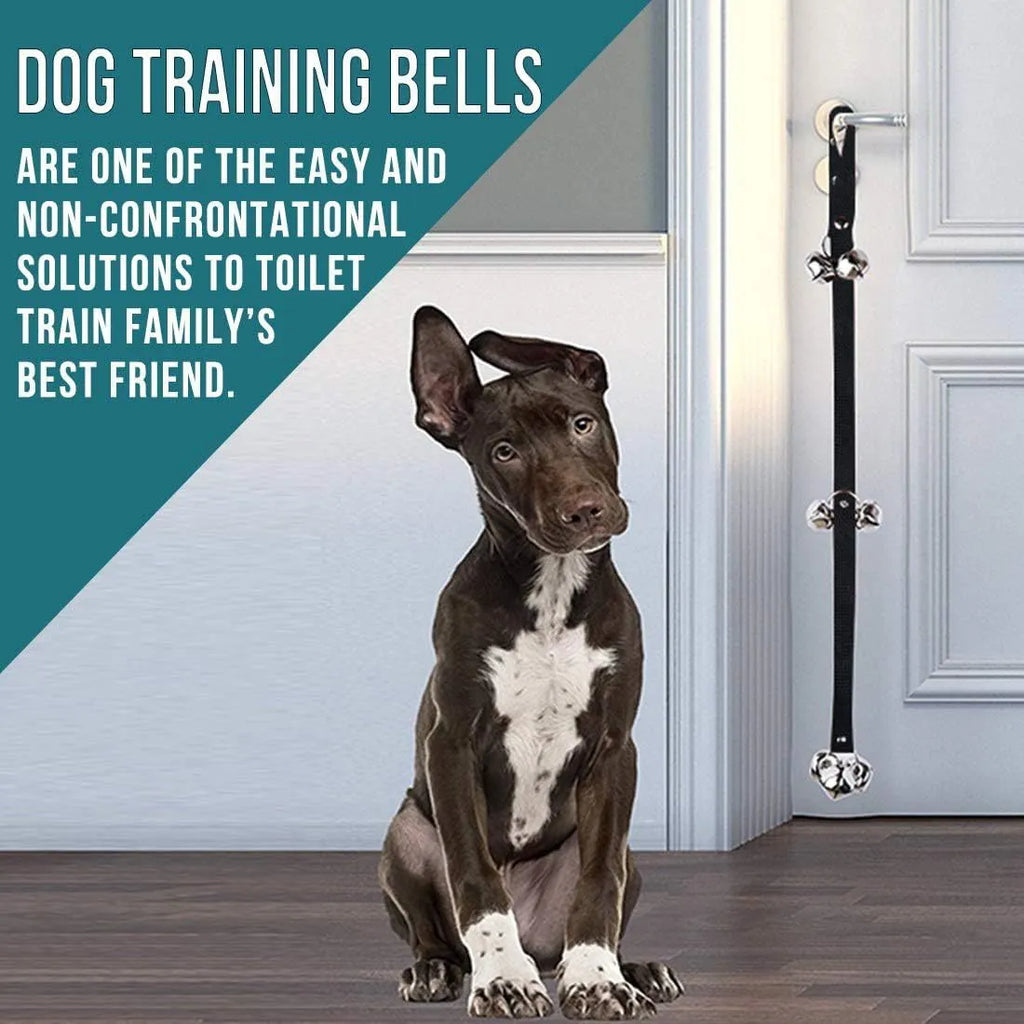 Silver metal dog training doorbell with 7 bells on an adjustable nylon leash hanging on a door