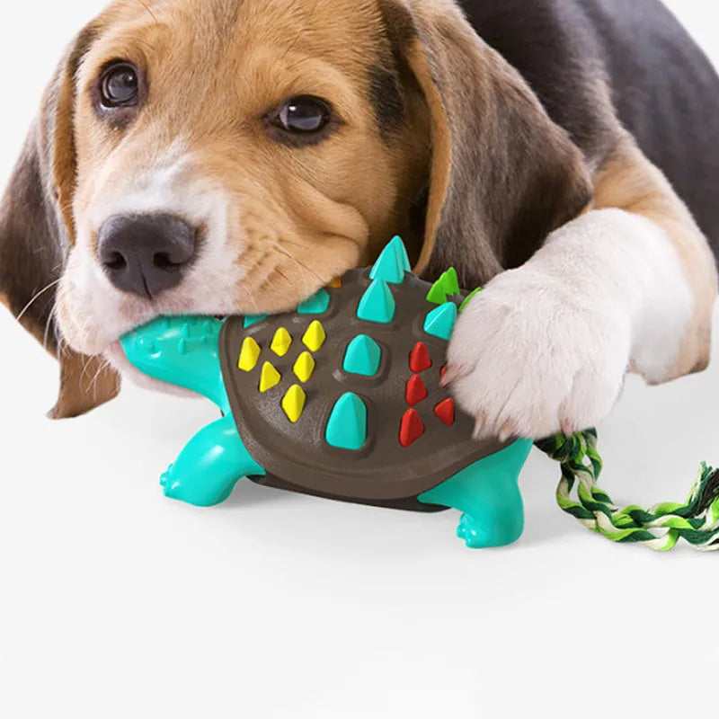 Natural rubber dog toothbrush chew toy with dinosaur tail knot design in chocolate and blue colour combination