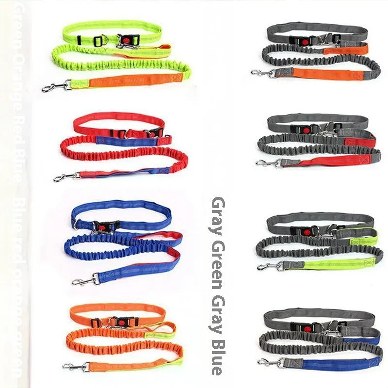 Grey and green reflective elastic dog leash with 2.5cm nylon width and clip attachment