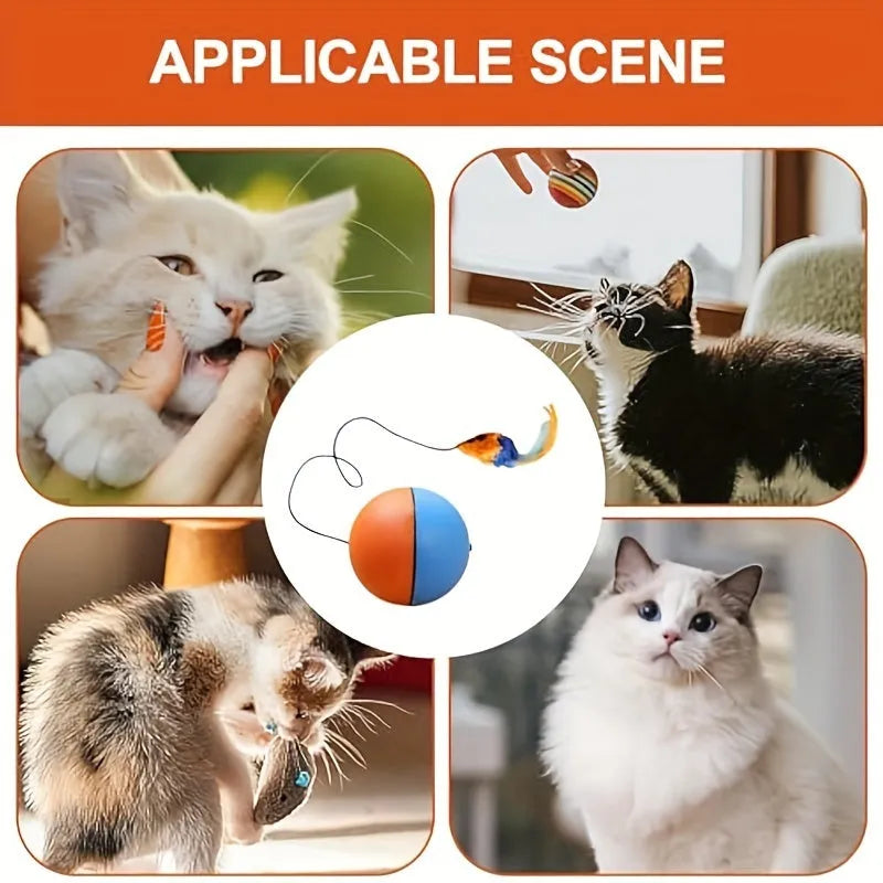 Interactive cat toy ball plush mouse with two removable tails in blue and orange colours