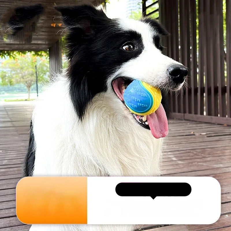 TPR rubber dog training ball in blue and orange colour combination measuring 6.5 cm across