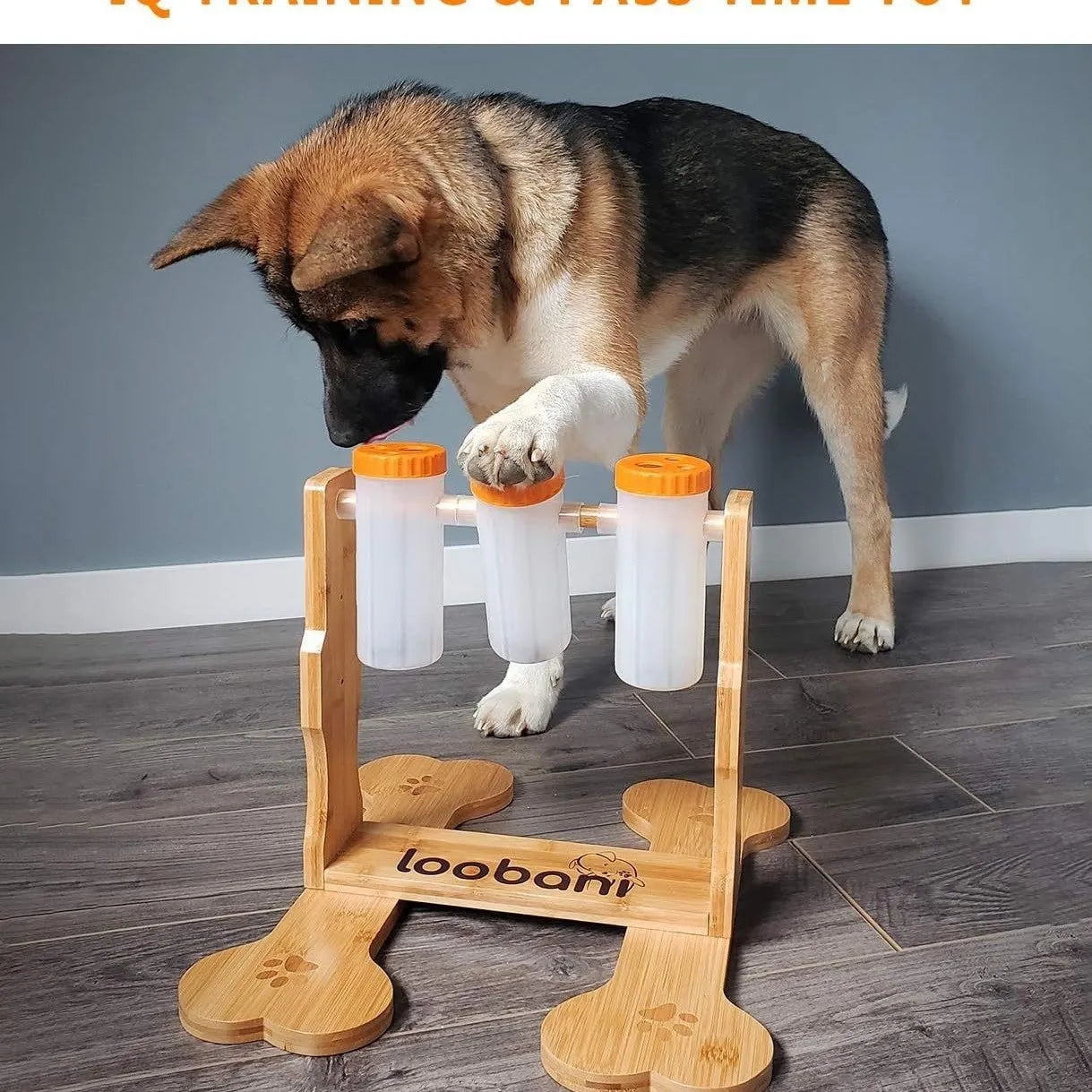 Wooden dog puzzle toy interactive snack dispenser feeder measuring 31x30x20cm