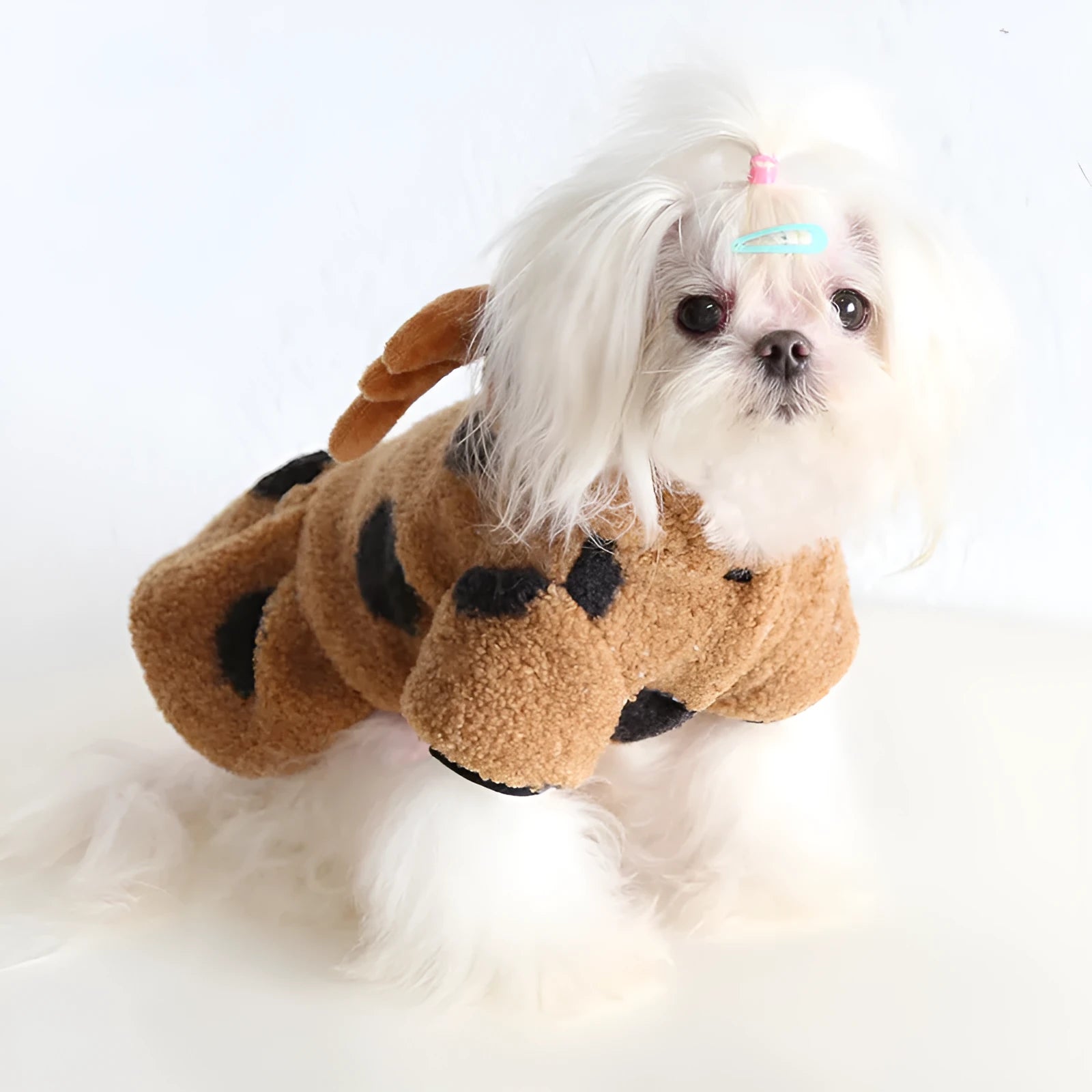 Polka dot pet clothing for dogs or cats in skirt and four-leg styles with elk couple design.
