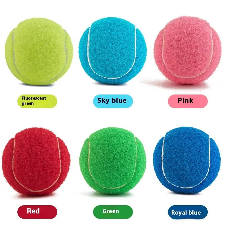 Bite-resistant rubber dog tennis ball in 6.3cm size showing multiple colour options
