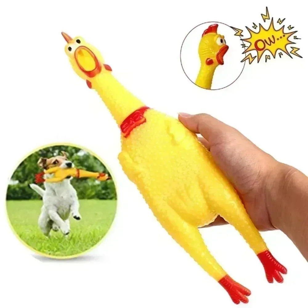 Yellow rubber squeaky chicken dog chew toy shown in three different sizes on a white background.