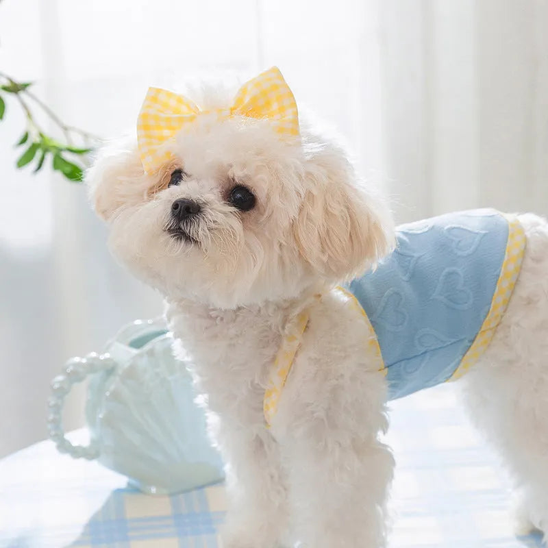 Small dog wearing blue elastic vest with heart texture and decorative bow