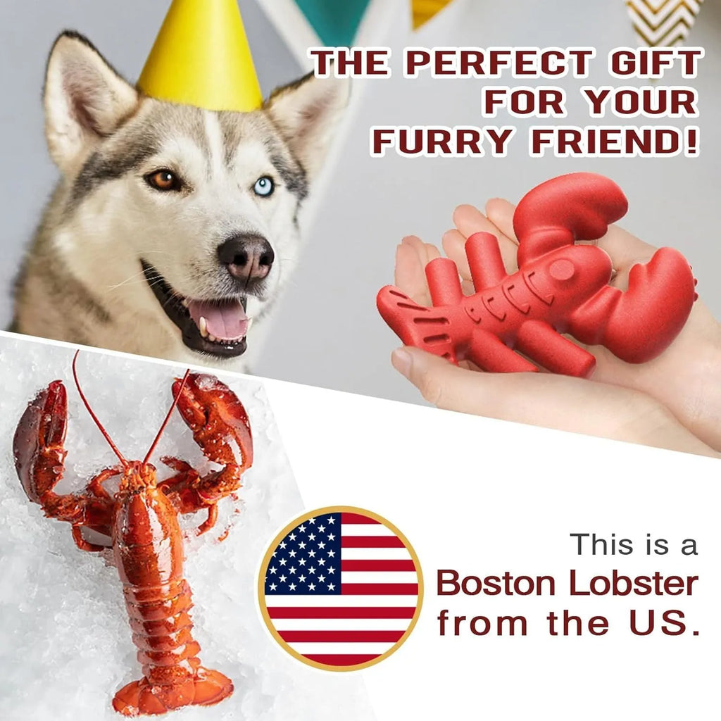 Red nylon dog chew toy for large dogs with bone design for aggressive chewers