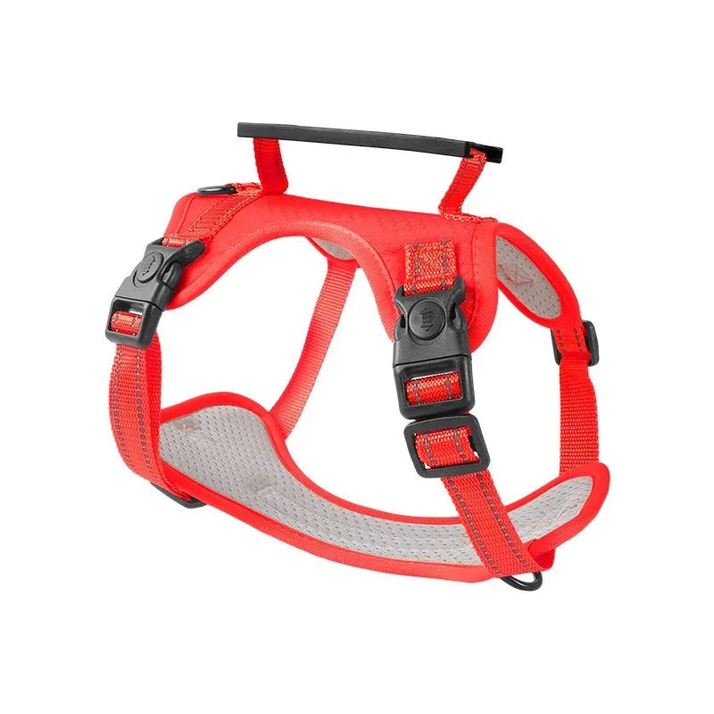 Polyester dog chest harness traction rope in multiple colours for sizes XS to XL