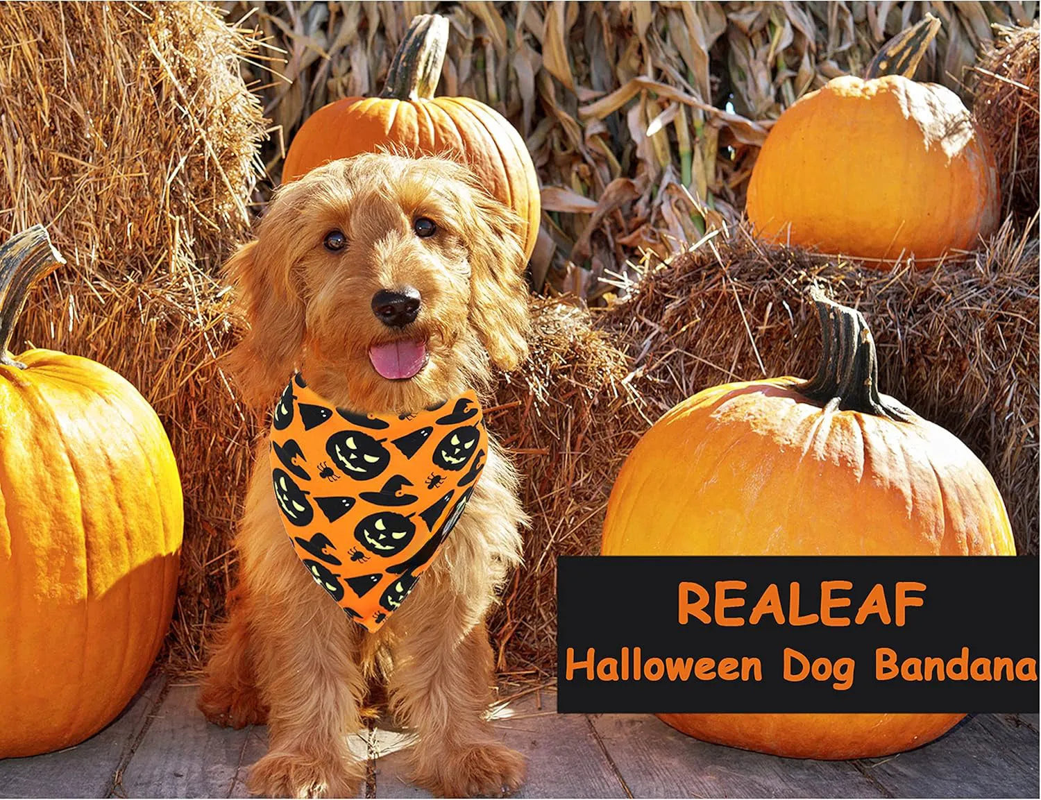 Black and orange reversible Halloween dog bandana with pumpkin and spider web patterns, adjustable for necks up to 16 inches