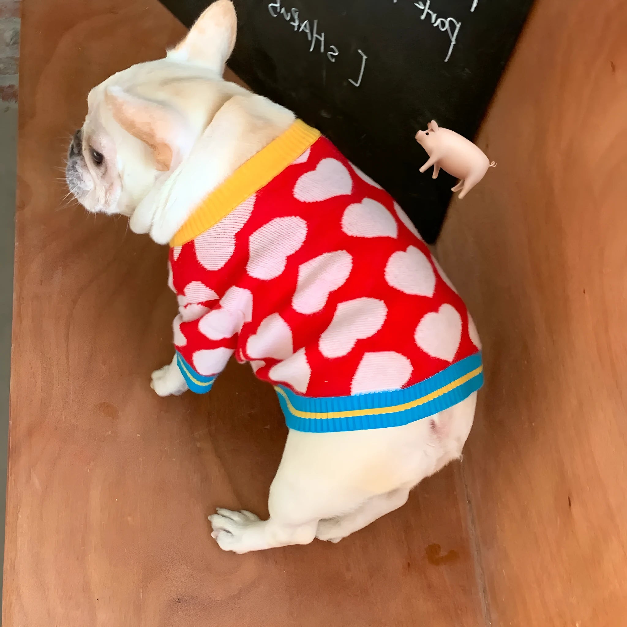 Red heart pattern dog coat with attached scarf on a neutral background