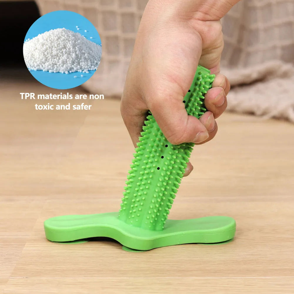 Green TPR dog chew toy with small and large molar rods and suction cup base