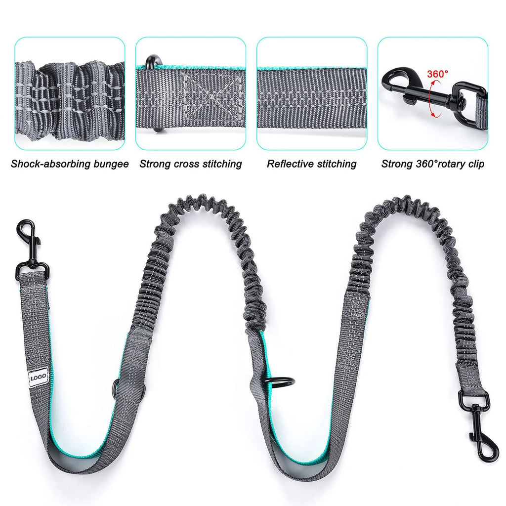 Black outdoor pet training waist bag with matching nylon leash and collar set for dog walking