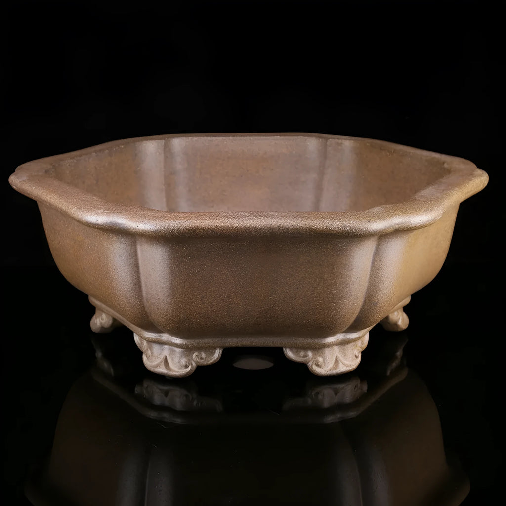 Large handmade hexagonal purple sand clay plant pot for indoor bonsai and succulent growing.