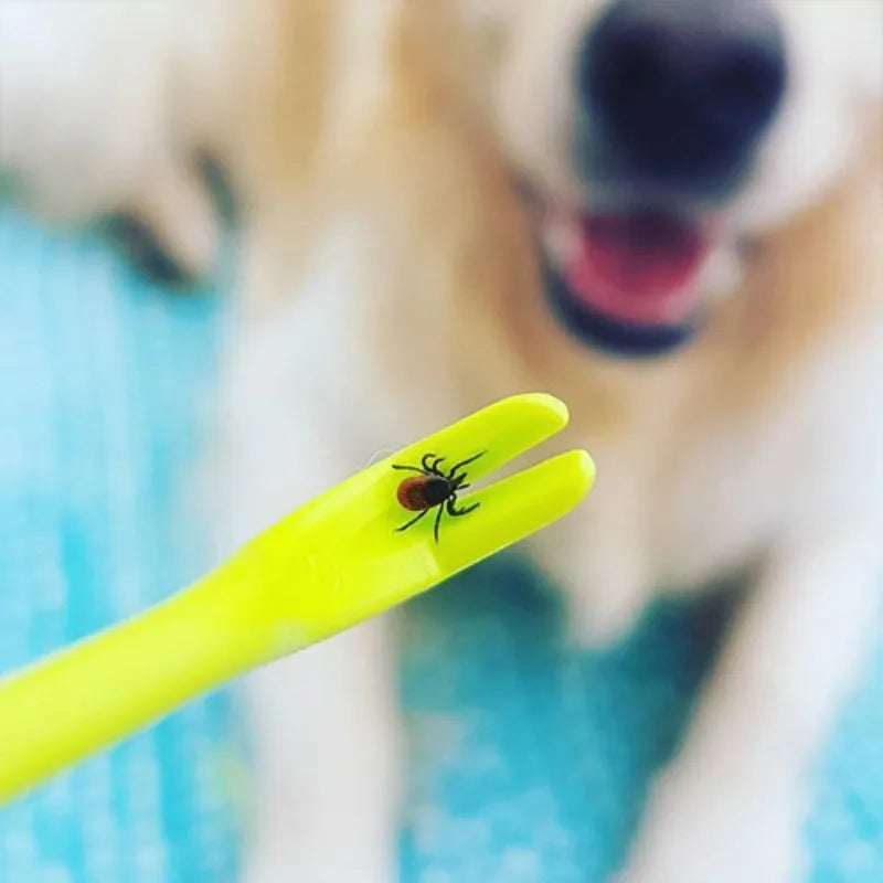 Three plastic pet tick removal tools in blue and green colours with hook design for parasite extraction