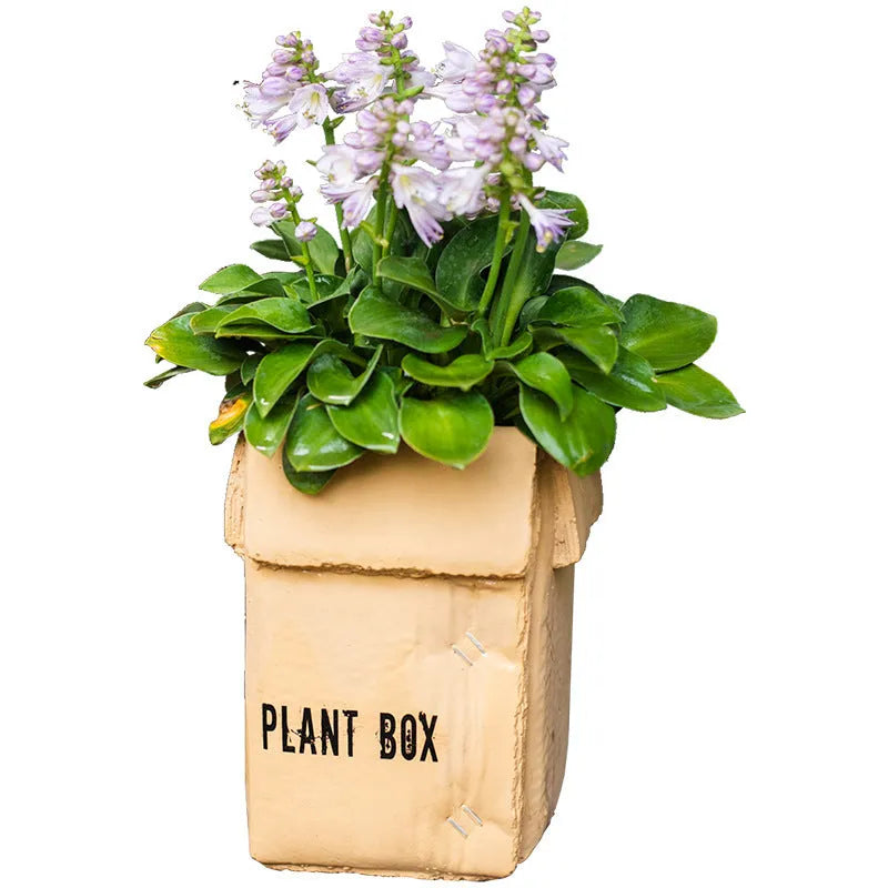 Cement flowerpot with perforated base and imitation carton paper texture for indoor planting