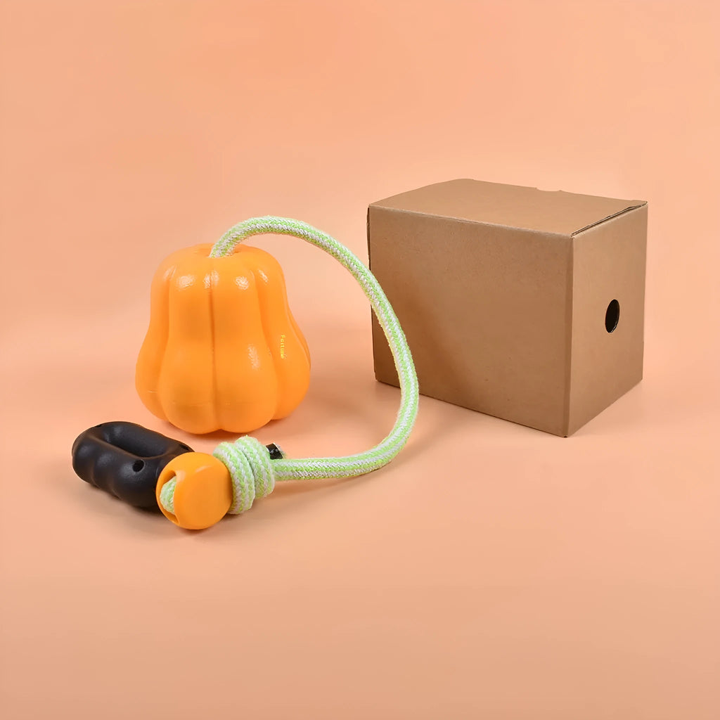 Orange plastic dog chew toy with a blue rope attached, shown on a neutral background.
