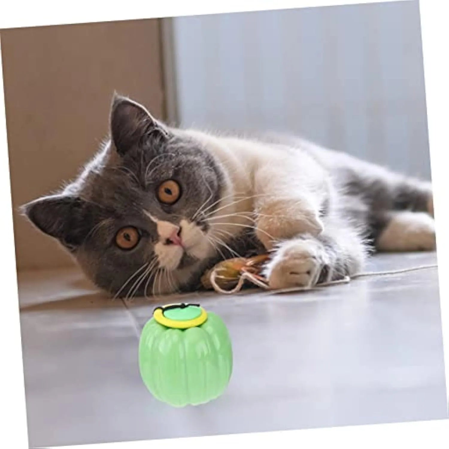 Green, orange, and yellow plastic pumpkin-shaped dog balls with squeakers for small dogs