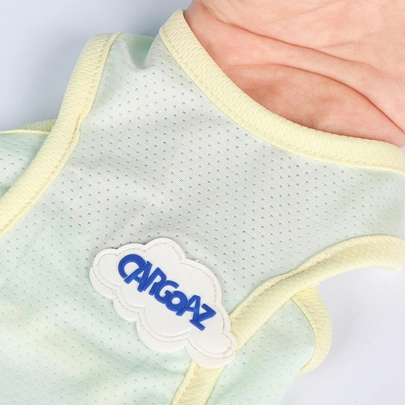 Cat wearing summer vest in sports style with anti-lint polyester construction