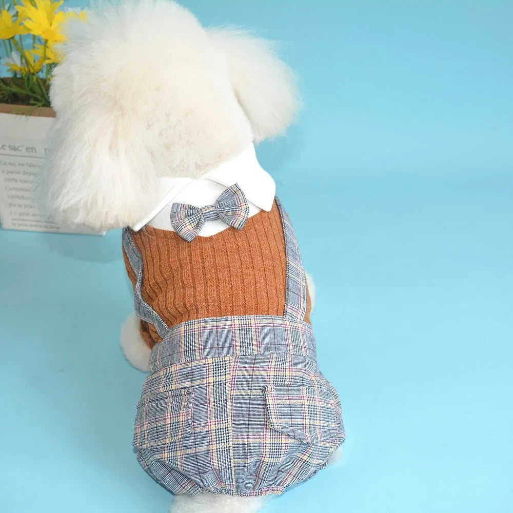 Cotton dog shirt with suit collar design in orange and dark blue colours